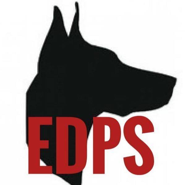 482004810 1681816795744995 5721410877645091542 n