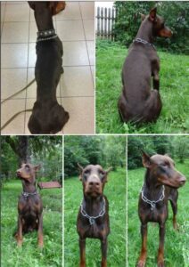 482027012 1681816989078309 8879034643527481351 n