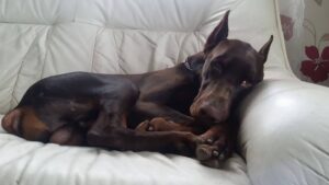 482046577 1681817015744973 743993934802672993 n