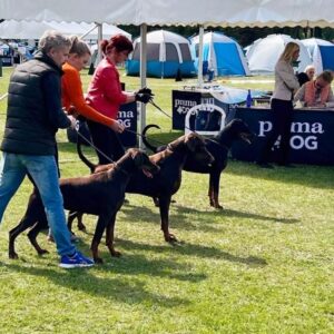 483756969 9371543749567403 7011867838322650255 n copy