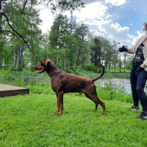 483867822 9371543669567411 6080580330535053847 n copy