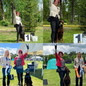 484017560 9371543799567398 7379555851684510046 n copy