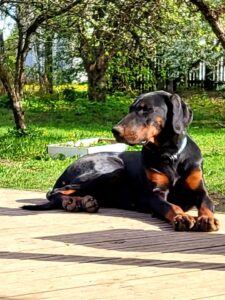 484142840 9362417310480047 4342098538470053444 n copy