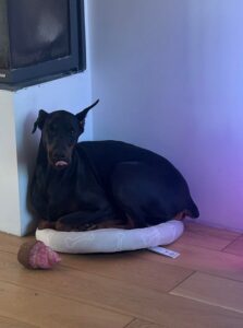 485763084 942105484784670 3716367762499390922 n