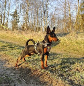 487960926 9473845019337275 2692483749095567357 n