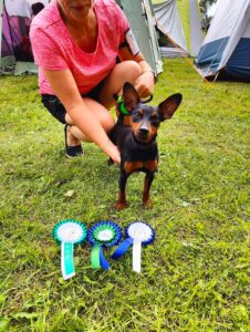 488254254 9520319804689796 8576936261217961718 n