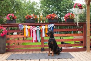 488657692 9511530088902101 1267998312678822902 n