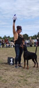 488691758 9493073174081126 1504549849531960765 n