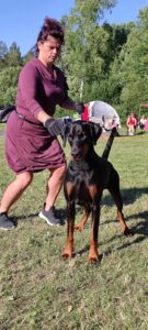 488698624 9501989789856131 6002436157873705012 n