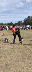 488807790 9493073054081138 8105147190628859186 n