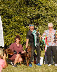 488875722 9502017736520003 6233152041321867104 n