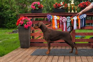 488986370 9511529812235462 7225974381938353837 n