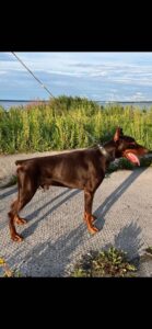 489036507 958002106528341 5165687952570080586 n