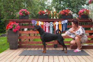 489125049 9511529808902129 4034056022097816921 n