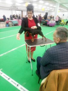 490475635 9548075405247569 1138791400987441054 n