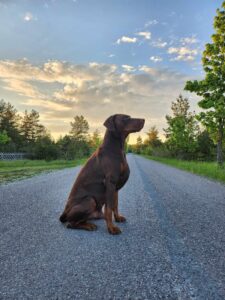 491932997 9591689510886158 2993881968627289004 n