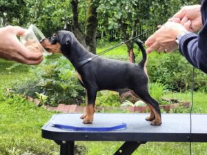 493459008 9666503253404783 1193049711607777953 n