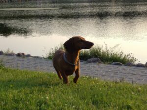 506357073 10013404212048017 5476457693780819315 n