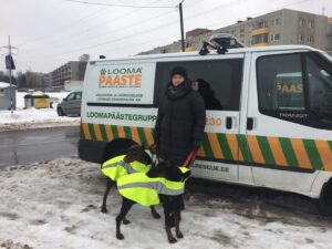 51074256 352664865326868 5916843094107488256 n