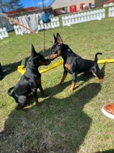 512767512 23900388949589642 6237672396465878407 n