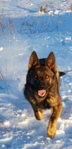 512955408 23887497007545503 4260575855650750786 n