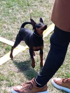 513018672 23900389082922962 6197562688616572195 n