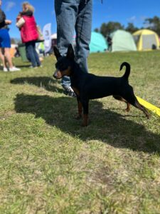 513909183 23900389036256300 8779650870312561391 n