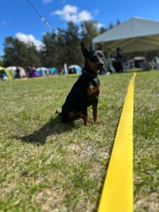 514007693 23900389042922966 1252504831020995836 n