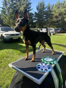 57da2686 e176 48a9 ad74 b9bc5c42708f