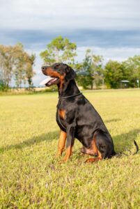 66689545 2315776725144176 6856971290142572544 n