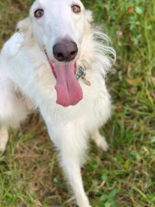 71542129 2449473841774463 194786250161389568 n