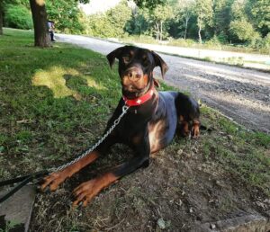 84218775 582521815674504 5752838767182348288 n