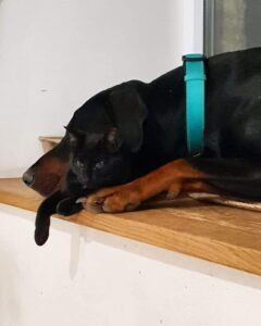 89527710 582521845674501 3509254994006114304 n