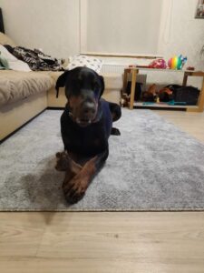 90474278 590044258255593 7394900439134633984 n