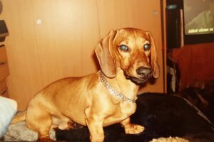 91869943 2857627637625746 1565806078094999552 n