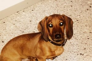 91943000 2857627550959088 1252532280216256512 n