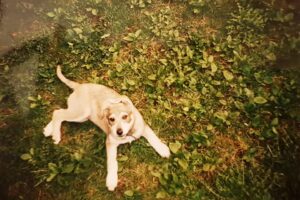 92215501 2857618414293335 7377299671745560576 n