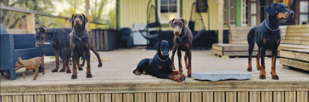 kuvatõmmis 2025 11 28 104559