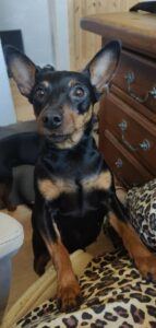 ace440f5 8999 4833 b8ba 8b8e07eb8b82