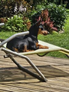 add6e11e f141 4d51 af65 731733f9d927